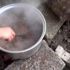 Türkiye de ilk iftar Hakkari de yapıldı