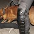 Hollanda'da Türk vatandaşlarına polis köpekli müdahale Hollanda'da Türk vatandaşlarına polis köpekli müdahale