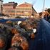 Malatya Şeker Fabrikası nda 25 yılın rekoru kırıldı