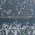 Olimpiyat'ta rekor gecesi!