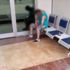 Sokak köpeğine tecavüz ettiği iddiasıyla dövüldü Sokak köpeğine tecavüz ettiği iddiasıyla dövüldü