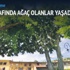 Evinin çevresinde ağaç varsa yaşadın