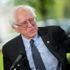 Sanders'in seçim vaadi: Öğrenci borçları iptal edilsin Sanders'in seçim vaadi: Öğrenci borçları iptal edilsin