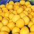 Limonun fiyatı yüzde 30 düşecek