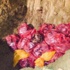Gebze'de 10 bin tavuk itlaf edildi