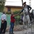 Polonya'dan Kudüs'e gitmek için 9 aydır at sırtında