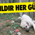 'Baştan aşağıya utanç vericiydi' 'Baştan aşağıya utanç vericiydi'