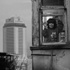 Hayatın dengesi fotoğraflandı Hayatın dengesi fotoğraflandı