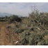 Danıştay'dan Yırcalı Köylülere Mutlu Haber Ek Fotoğraf Danıştay'dan Yırcalı Köylülere Mutlu Haber Ek Fotoğraf