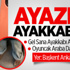 Eboue Katar'a Gidiyor