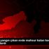 Mersin de yangın çıkan evde mahsur kalan kediyi itfaiye ... Mersin de yangın çıkan evde mahsur kalan kediyi itfaiye ...