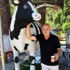 Parayla süt ve ayran veren inek otomatı