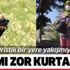 Muğla'da köpek ordusu saldırdı canını zor kurtardı!
