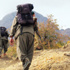 8 PKK'lı teslim oldu