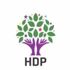 HDP MYK belli oldu HDP MYK belli oldu