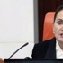 Eski MHP'li duyurdu: Meral Akşener MHP Genel Başkan adayıdır