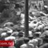 15 Temmuz darbe girişimine ait yeni görüntüler