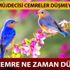 Cemre 2019 ne zaman düşer? İkinci Cemre ne zaman düşer, Cemre düşünce ne olur?