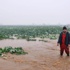 Gediz Nehri taştı, tarım arazileri su altında kaldı