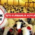 Kurbanlık koyun fiyatları ne kadar? 2019 küçükbaş kurbanlık fiyatları belli oldu! Kurbanlık koyun fiyatları ne kadar? 2019 küçükbaş kurbanlık fiyatları belli oldu!