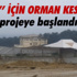 Yırca'da Santral İçin 6 Bin Ağaç Kesen Firma 60 Bin Fidan Dikecek Yırca'da Santral İçin 6 Bin Ağaç Kesen Firma 60 Bin Fidan Dikecek
