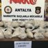 Antalya’da 1 yılda 478 kilo 671 gram uyuşturucu madde ele geçirildi
