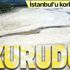 İstanbul'u korkutan haber! Kazandere ve Pabuçdere barajları kurudu