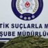 Bingöl'de 17 kilo esrar ele geçirildi, 2 şüpheli tutuklandı Bingöl'de 17 kilo esrar ele geçirildi, 2 şüpheli tutuklandı