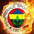 PFDK'dan Fenerbahçe'ye ceza!