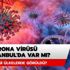 Corona virüsü İstanbul'da var mı? Koronavirüs hangi ülkelerde görüldü? İşte corona virüs belirtileri
