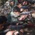 Silah zoruyla PKK'ya alınan Şabo kaçtı ve gerçekleri anlattı