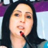 HDP terör estirdi