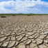 NASA: Türkiye son 900 yılın en kötü kuraklığını yaşıyor