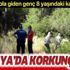 Antalya'da korkunç olay! 8 yaşındaki kardeşini bıçakla öldürdüğünü söyleyip, polise teslim oldu