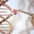 Hadi ipucu sorusu: DNA’nın açılımı nedir? 1 Mayıs Hadi ipucu sorusu ve cevabı… Hadi ipucu sorusu: DNA’nın açılımı nedir? 1 Mayıs Hadi ipucu sorusu ve cevabı…
