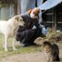 Kağıthane Belediyesi, sokak hayvanlarını unutmadı