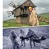 Fotoğraflarla iki asır