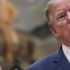 "Trump'ın sonunu getirebilecek yalnızca bir kişi var: Rhona Graff"