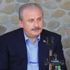 TBMM Başkanı Şentop: Hayvanlara yapılan eziyetler ve işkenceler hapis cezası getirildi