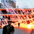 İsrail, katliamı hayvanlara da yaptı...