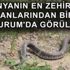 Atilla Taş'ın yandaş gazeteci sorusu, İmamoğlu'nu kahkahaya boğdu Atilla Taş'ın yandaş gazeteci sorusu, İmamoğlu'nu kahkahaya boğdu
