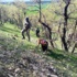 'Haydi' ve 'Eyvah' 20 saat sonra buldu!