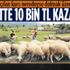 Maaşı 10 bin liraya çıkan çobanlığın yıldızı parladı! Samsun'da Sürü Yönetimi Kursu açıldı