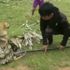 Köpeği pitona yem olmaktan son anda kurtardılar