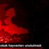 İzmir de sokak hayvanları unutulmadı İzmir de sokak hayvanları unutulmadı