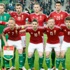 EURO 2016'da F Grubu: Macaristan