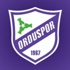 Orduspor, 91 gündür 3 puana hasret!