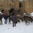 Midyat'ta sahipsiz eşekler soğuktan donmasın diye toplandı