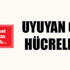 “Beyefendi kızdı”...