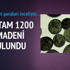 Danimarka'da 1200 yıllık madeni para bulundu
